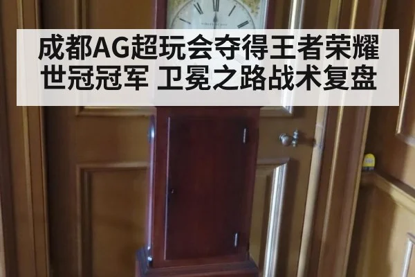 成都AG超玩会夺得王者荣耀世冠冠军 卫冕之路战术复盘